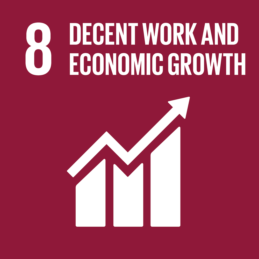 SDG 8 - Decent Work and Economic Growth